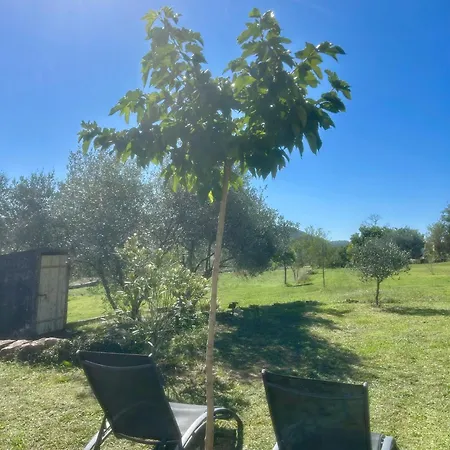 Hébergement de vacances Mas De Veyras - 5 étoiles En Ardèche *